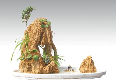 吸水石假山盆景效（xiào）果圖（二）