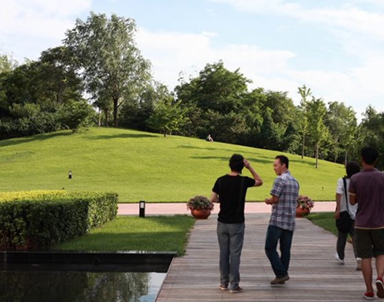 馬奈草地（dì）國際（jì）俱樂部 綠化