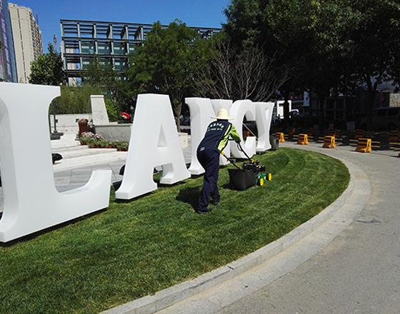朗姿（zī）股（gǔ）份大廈 綠化施（shī）工、綠植租擺