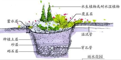 生物滯（zhì）留._2