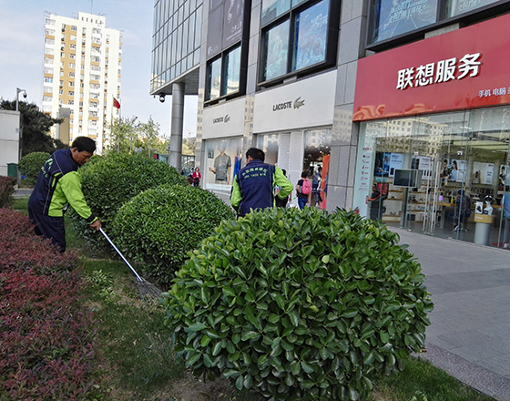 新中（zhōng）關購物（wù）中心 綠化（huà）