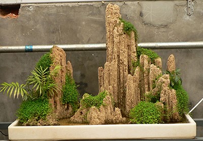 吸水（shuǐ）石假山盆景效果圖（一）