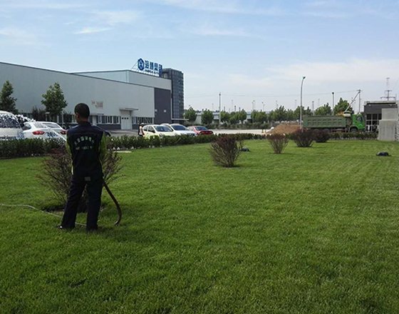 海博思創廠（chǎng）區  綠化施工