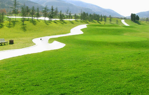 園林綠化（huà）養護