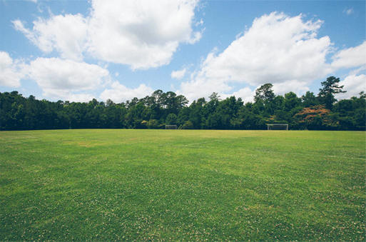 園林養（yǎng）護