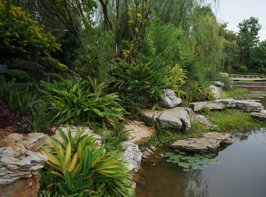 園林綠化（huà）工程類別我們如何（hé）進行劃分（fèn）