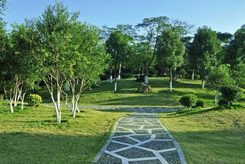 園林工程（chéng）施工全過程，你如何來進行（háng）