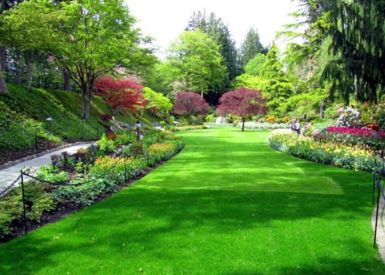 園林綠化養護（hù）都需要哪些資質