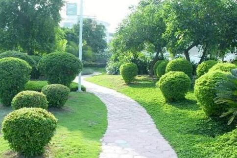 如何控製園（yuán）林綠化養護（hù）費用？