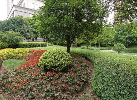 綠化工程造（zào）價的計算方法