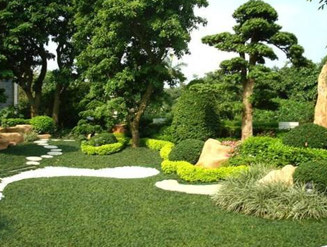 北京園（yuán）林綠化在冬（dōng）天裏我們需要（yào）做哪些工作