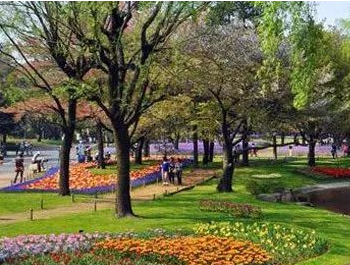 園林綠（lǜ）化工程師證如何考報考要求（qiú）