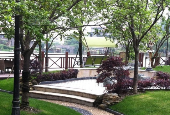 園林綠（lǜ）化|園林景觀中植物選擇的3大禁忌