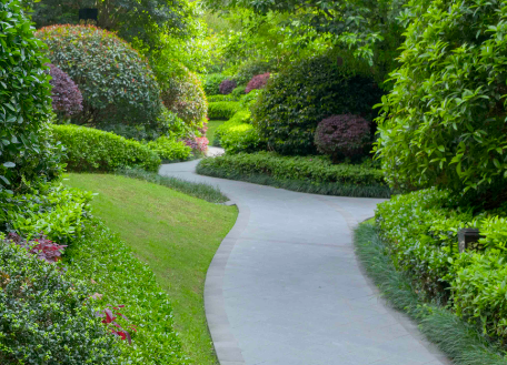 小區綠化（huà）等級標準、綠化養護計劃及每月安排