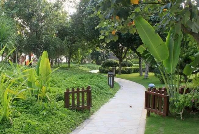 園林景（jǐng）觀的人文色彩如何（hé）進行強化