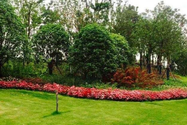 園林景觀（guān）工程之硬景工程工序（xù）流程