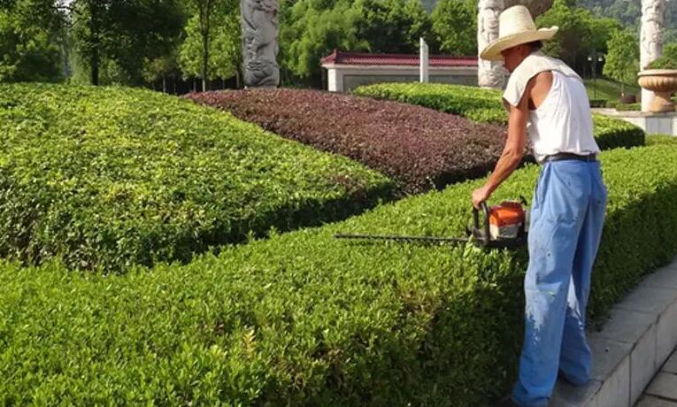 綠化養護工證怎麽考?報名條件（jiàn）方式都有哪些