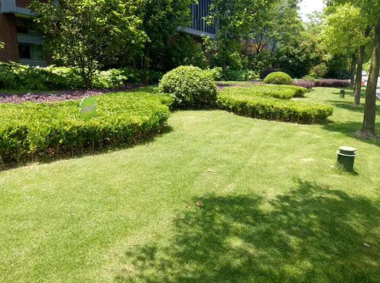 園林景觀工程（chéng）根據景觀雕塑所起的不同作（zuò）用