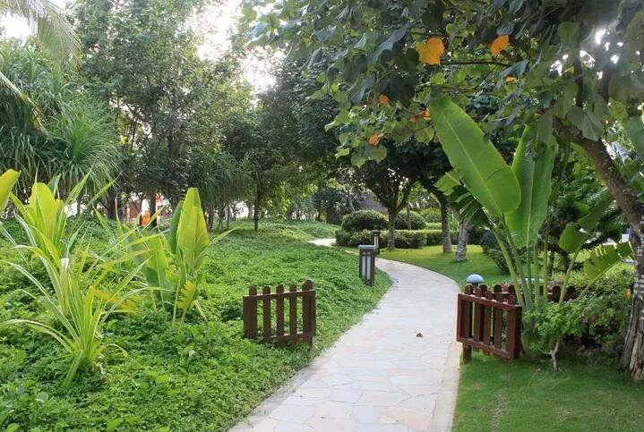 提高（gāo）園林景觀施工（gōng）管理的策略