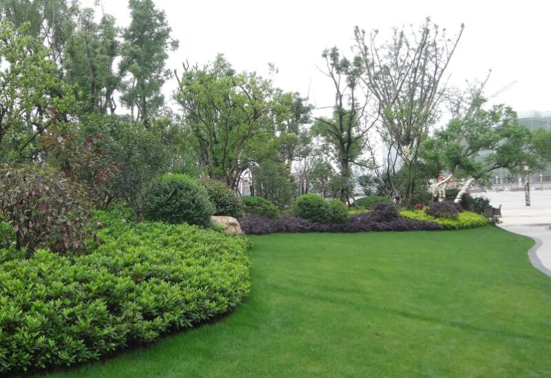 園林（lín）綠化工程施工五（wǔ）大細節，你了解多少