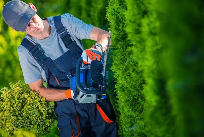 綠（lǜ）化養護（hù）包（bāo）括哪些方麵