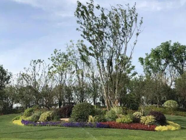 前期介入園林綠（lǜ）化工程該注意的（de）問題都有哪些