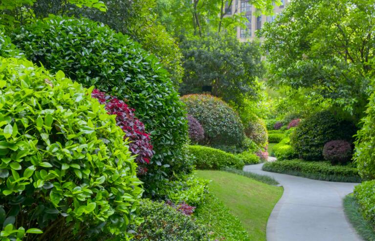 你了解園林（lín）綠化養護存在哪些意義