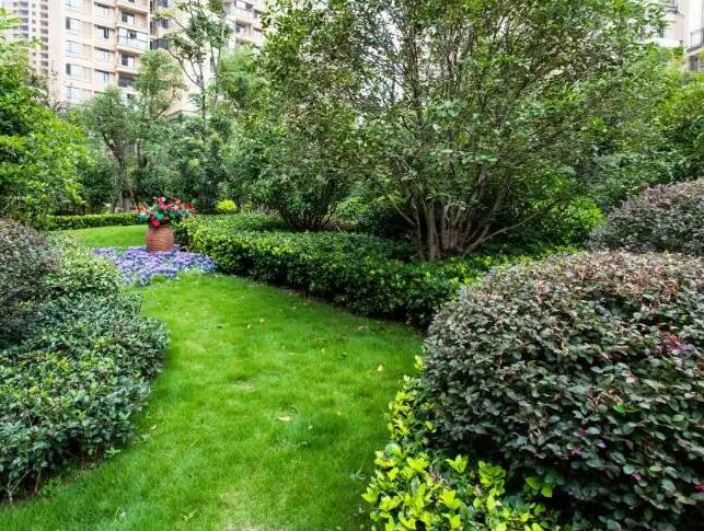 你了解園林綠化工程是按（àn）哪些標準報（bào）價?