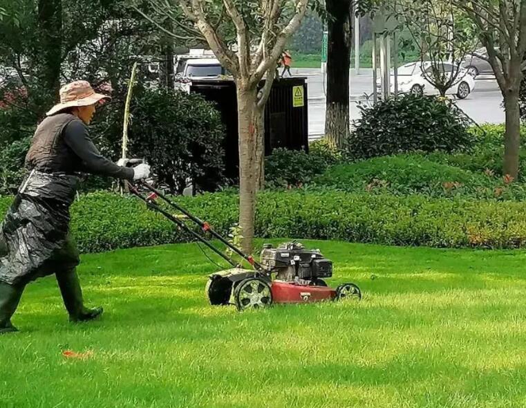 綠化（huà）養護包括（kuò）哪（nǎ）些方麵 綠化養（yǎng）護包（bāo）括什麽