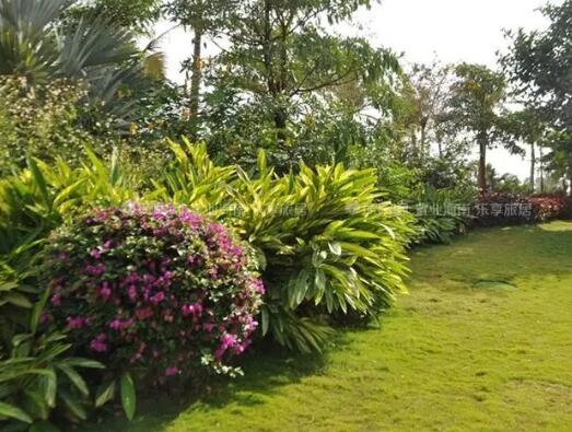 園林綠化涉及（jí）到的稅率變化