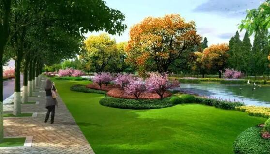 如（rú）何做好綠化工程結算，看這些你（nǐ）就明白了