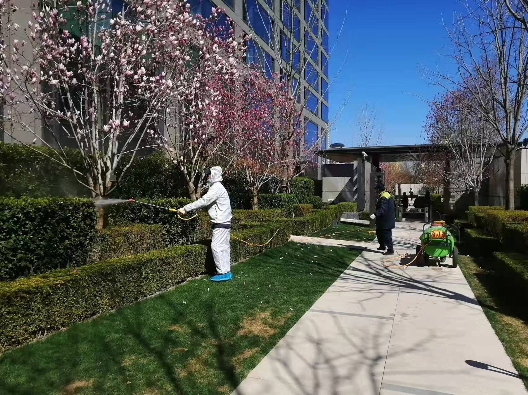 北京春季園林綠化養護之石硫合劑（jì）