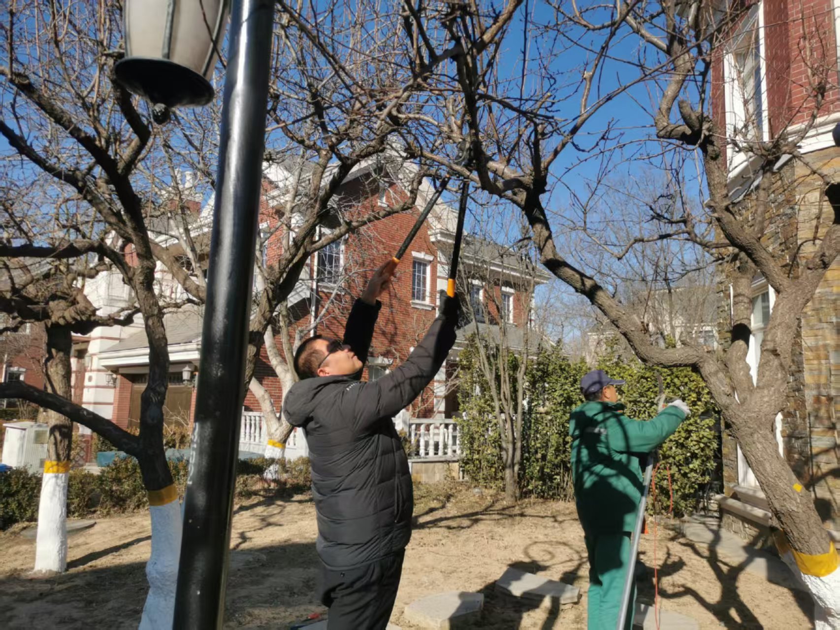 北京春季園林（lín）綠化養護指南之春（chūn）季修（xiū）剪