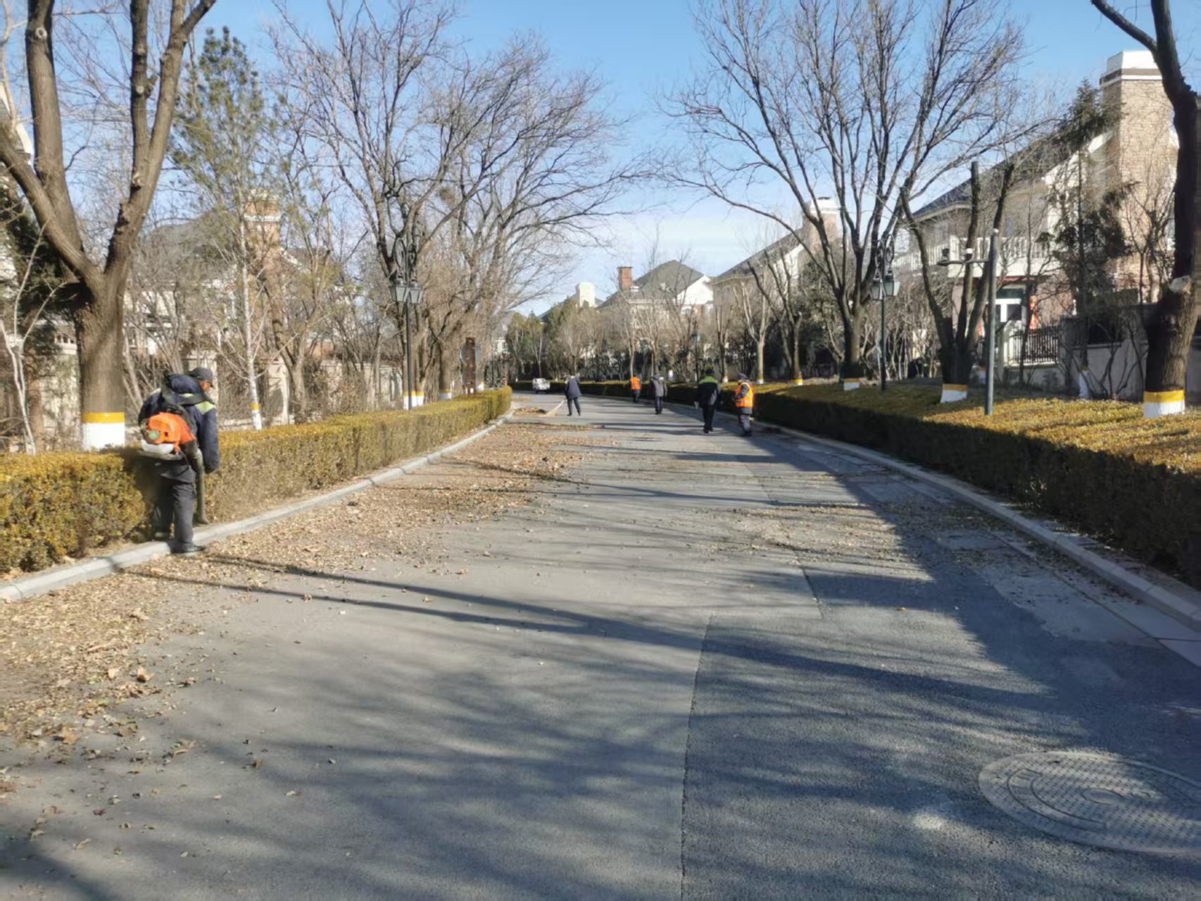 北（běi）京春季園林綠化養護（hù）指南之春季清園