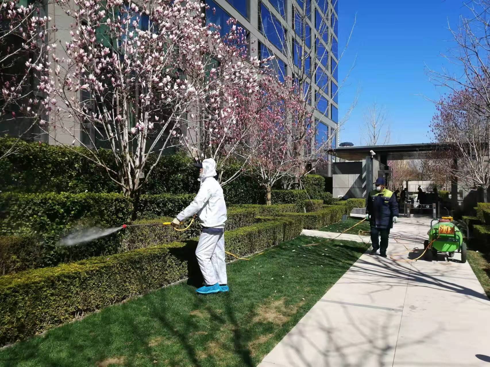 北京春季園林綠化養護之要（yào）點