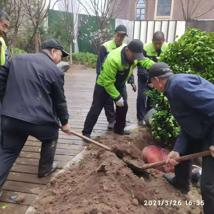 園林綠化工程施工中有那些注意事項